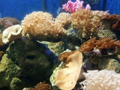 -临沂极地海洋王国