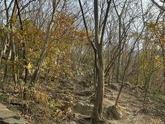 -紫金山山顶公园