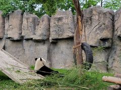-上海野生动物园