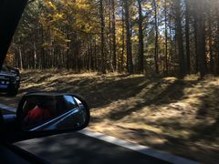 -塞罕坝国家级自然保护区