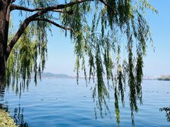 -浙江西子宾馆·瑶园咖啡厅