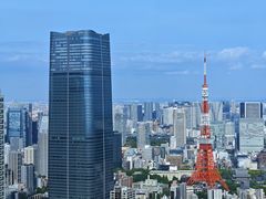 -六本木新城展望台(东京城市景观)