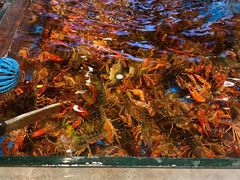 -川骄海鲜自助(亚运村店)