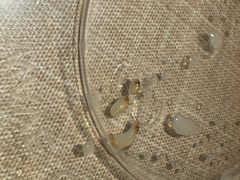 -潘苏凉茶馆(康之宝超级广场店)