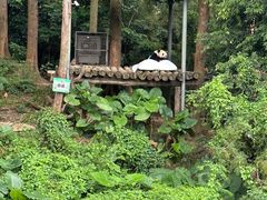 -广州长隆野生动物世界