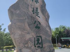 -绿堤公园