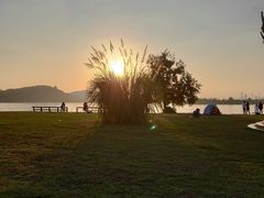 -东湖落雁景区