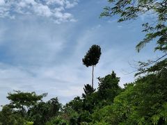 -中国科学院西双版纳热带植物园