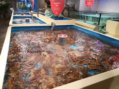 -日进一片海.生腌海鲜火锅.宵夜烧烤(三里屯总店)