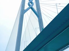 -招商蛇口邮轮母港(观光客运)