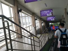 -国际邮轮中心码头(厦鼓码头)