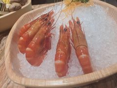 -春润大地海南椰子鸡(沙井京基百纳广场店)