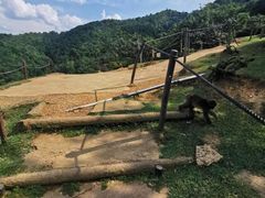 -岚山猴子公园