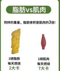 -Fundi张玉珊修身堂·indiba·BTL科技瘦身