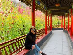 -南汇桃花村