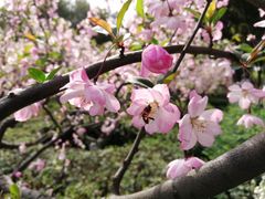 -昆山城市生态森林公园