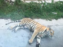 -西安秦岭野生动物园