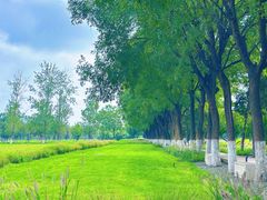 -汉长安城未央宫国家考古遗址公园