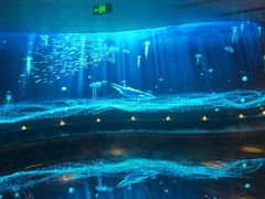 -唐宫足道·SPA·住宿24H会所(木渎店)