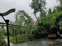 -成飞公园