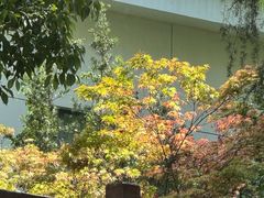 -浙江宾馆·花园餐厅·自助餐厅·茶吧