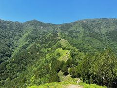 -北京鹫峰国家森林公园