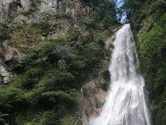 -炎陵县神农谷国家森林公园
