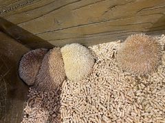 -Mr·Kuma酷么先生雪之乐园