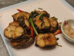 金不换煎焗白鳝-博多新记·粤菜(复兴店)