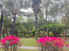 -深圳国际园林花卉博览园