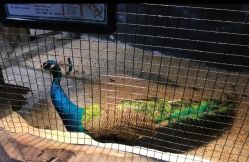 -酷嗒动物文化乐园(cutezoo西溪乐天城店)