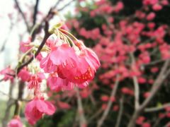 -乌山风景区