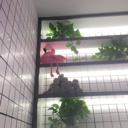 -泽璞堂美发沙龙