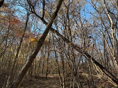 -五女峰国家森林公园