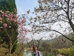 -信阳灵山风景区