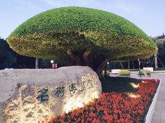 -南宁南湖公园