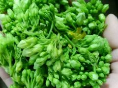 -八仔大富楼·河鲜(西江店)