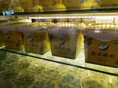 -德禄酸奶(莫家街店)