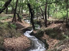 -红螺寺