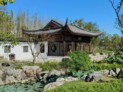 -上海滨江森林公园