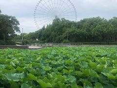 -蠡湖大桥公园