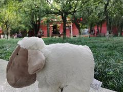 景点-望江楼公园