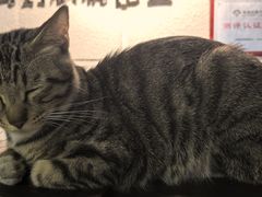 -逃脱反斗城沉浸剧情密室(北京路店)