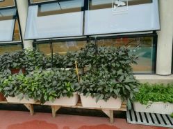 -梦田都市农场(银泰城店)