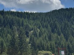 -芦芽山旅游度假区