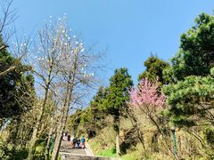 -南岳衡山风景名胜区-南岳大庙