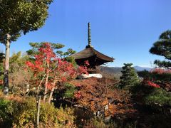 -常寂光寺