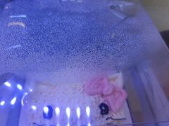 -摩尔森林·蛋糕烘焙·甜品自助(三牌楼店)