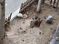 -遵化汤泉宫度假村温泉