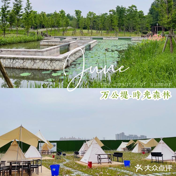 绿皮火车上竟藏着一家茶餐厅 ‼️吴江新晋网红打卡地速来打卡🤙